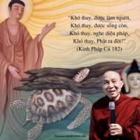 499956891_1015460807381449_5389315573641632104_n_original